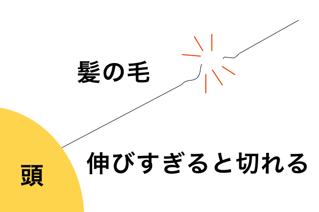 自分でのブローは痛むかも 間違ったブローは枝毛 切れ毛の原因にも Liss 恵比寿 フリーランス美容師のみの美容室 代表 渡辺真一 地毛に戻す美容師 コンプレックス お悩み相談